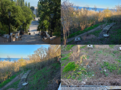 «Нефотогеничное зрелище»: почему смотровая площадка у Каменной лестницы разочаровала гостей Таганрога