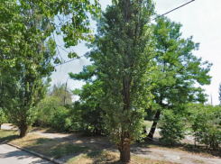 Таганрожец убил пожилую мать, расчленил и закопал в посадке