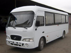 После смертельного ДТП таганрогские маршрутки проверят на соответствие стандартам