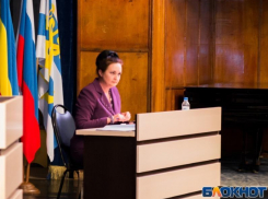 Глава Таганрога Инна Титаренко назвала провокацией акцию «Осиновые колья для администрации»