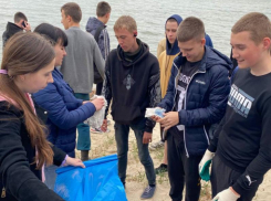 Жители Таганрога очистили от мусора набережные и пляж