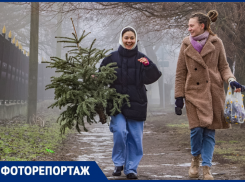 Как в этом году таганрожцы сдавали ёлки на переработку