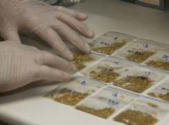 В Таганроге 17-летний юноша заказывал спайс через интернет