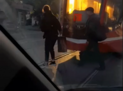 «Как тараканы, как клопы» - у водителя Таганрога накипело от беспардонности пешеходов