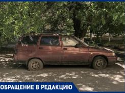 Бесхозная машина не даёт спилить сухое дерево, которое грозит покалечить таганрожцев