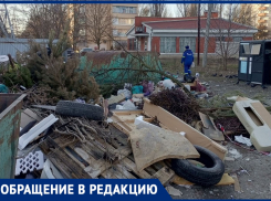 За гранью безумия: таганрожцы утопают в мусоре