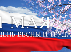 В России сегодня дистанционно отмечают Первомай