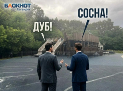 МКУ «Благоустройство» Таганрога проиграло суд по «Кораблику» в Дубках, но продолжит судиться