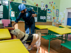 Поиски «пермского стрелка» в Таганроге не увенчались успехом