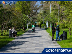 Дуэт зелени и музыки – Приморский парк Таганрога