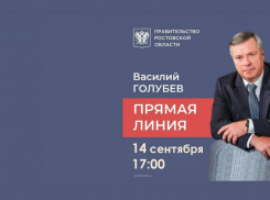 Более 1500 вопросов приготовили жители Дона для «Прямой линии»с губернатором