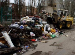 Незаконную свалку в Северном микрорайоне отдали под контроль полиции