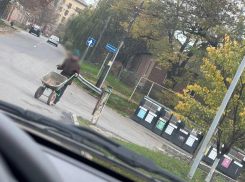 Садовая тачка вместо совести: таганрожец устраивает свалку растительных отходов у контейнеров