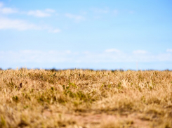 Под Таганрогом были установлены границы особо охраняемой зоны после иска прокуратуры