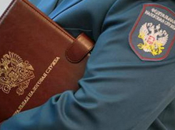 Под Таганрогом два предпринимателя и налоговый инспектор пытались обмануть государство на 146 миллионов рублей