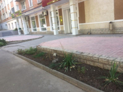 Один пылинки сдувает, другой  траву по пояс не видит - такие разные предприниматели Таганрога