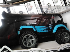 Таганрогская фирма вывезла из Китая контрафактные игрушки 