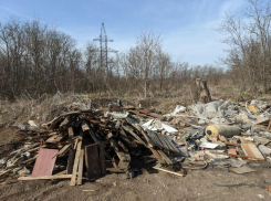Проблема несанкционированных свалок в Таганроге продолжается 