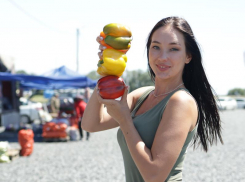 Новая сельскохозяйственная ярмарка открылась в Ростовской области