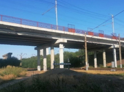 «Мухи и антисанитария»: таганрожцы просят срочно навести порядок в сквере у Бакинского моста