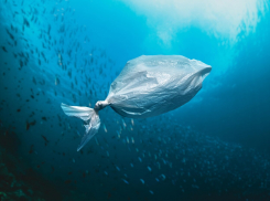 Таганрог засорён микропластиком: его нашли в 100% проб 