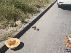 Туфли отлетели в сторону: в Таганроге насмерть сбили пешехода