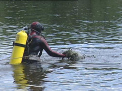 Пляжи в Ростовской области приводят в порядок