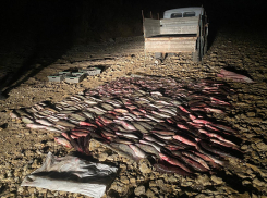 Под Таганрогом задержали мужчину с рыбой на 1.3 млн руб