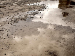 27 июля пройдёт прямой эфир о ситуации на автодороге Таганрог – село Фёдоровка