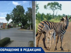 Ул. Чехова/2-ой переулок в Таганроге: «…А вот как дорогу одолеть?»