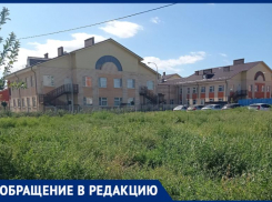 Сад, который построил губернатор, весь погряз в сорной траве