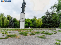 Более 60 деревьев и около 1000 кустов высадят на Северной площади Таганрога