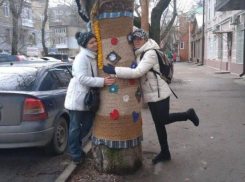 «Райские кущи» сделали активисты в центре Таганрога