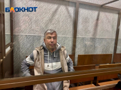 Всё, что нажито: «несметные» богатства таганрожца Логвиненко могут обратить в доход государства