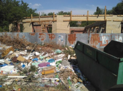 Таганрожец: помойки приближают нас к уровню индийских трущоб