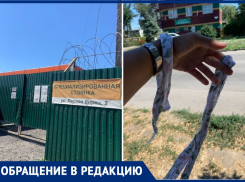 В Таганроге становится  опасно, как в джунглях