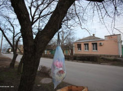 В центре Таганрога предприниматели взялись за поддержание чистоты
