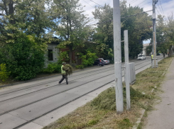 Стрижка и уборка листвы завершилась в Таганроге. Ощущения 