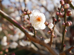 Погода в Таганроге в выходные дни будет ясной, но прохладной