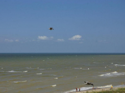 Названы причины и последствия загрязнения Таганрогского залива