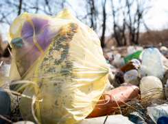 Природоохранная прокуратура предписала администрации Таганрога ликвидировать свалку на Мариупольском шоссе