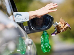 Таганрожцы могут получить штраф до 200 тысяч рублей за выброшенный из машины мусор