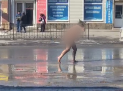 Женщину, которая голая бегала по Таганрогу, поместили в Дарагановку