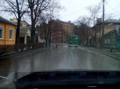 Таганрогский Хатико поразил горожан своей верностью