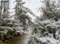 Неоднозначная погода ожидает таганрожцев на новой рабочей неделе 