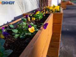 Таганроженка обратилась к Юрию Слюсарю с уникальным проектом для детей и города