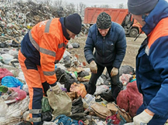Кошелек жительницы Покровского нашли в горе мусора