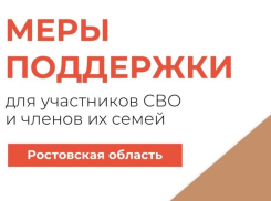 Чат-бот поддержки участников СВО стал доступен жителям Ростовской области