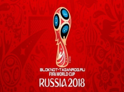 Таганрог опережает другие города региона по графику подготовки к Чемпионату мира по футболу