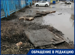«Таганрог - курортный» со своим собственным оазисом